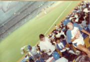1981Joe.jpg
